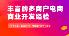 電商系統(tǒng)定制開發(fā)的標(biāo)準(zhǔn)流程及步驟